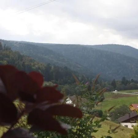 A - Proche Et Pistes, Chem Cheminee, 2 - Fr-1-589-108 * Gerardmer