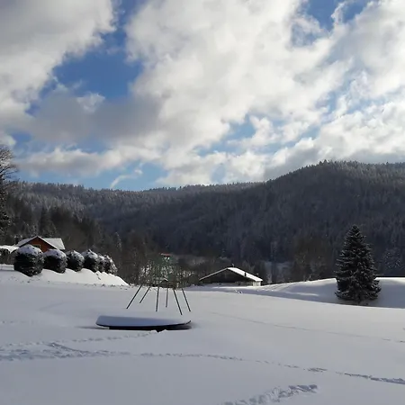 Holiday home A - Proche Et Pistes, Chem Cheminee, 2 - Fr-1-589-108 Gerardmer