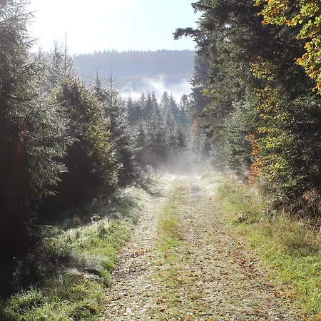 Vakantiehuis A - Proche Et Pistes, Chem Cheminee, 2 - Fr-1-589-108