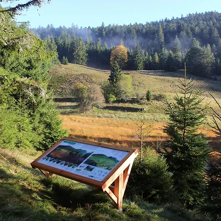 A - Proche Et Pistes, Chem Cheminee, 2 - Fr-1-589-108 * Gérardmer