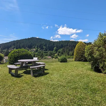 A - Proche Et Pistes, Chem Cheminee, 2 - Fr-1-589-108 * Gerardmer