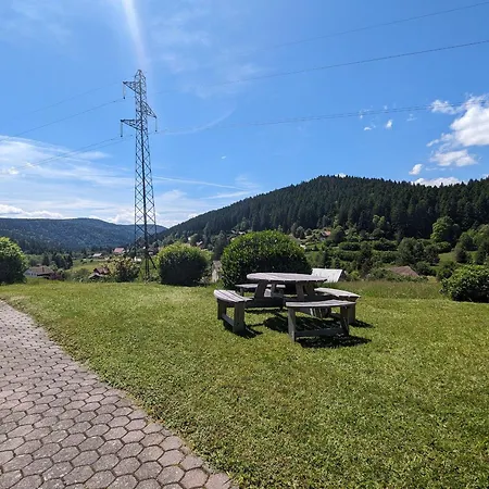 A - Proche Et Pistes, Chem Cheminee, 2 - Fr-1-589-108 Gerardmer