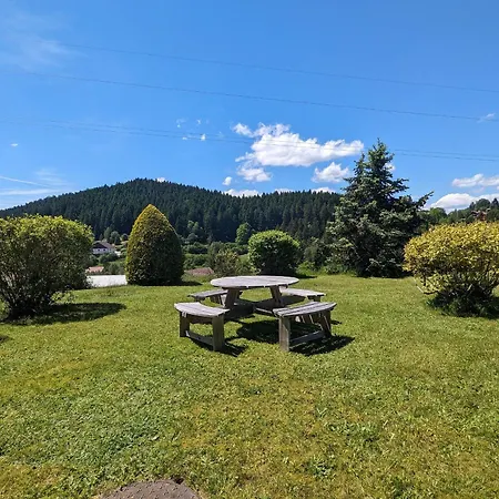 Vakantiehuis A - Proche Et Pistes, Chem Cheminee, 2 - Fr-1-589-108 *