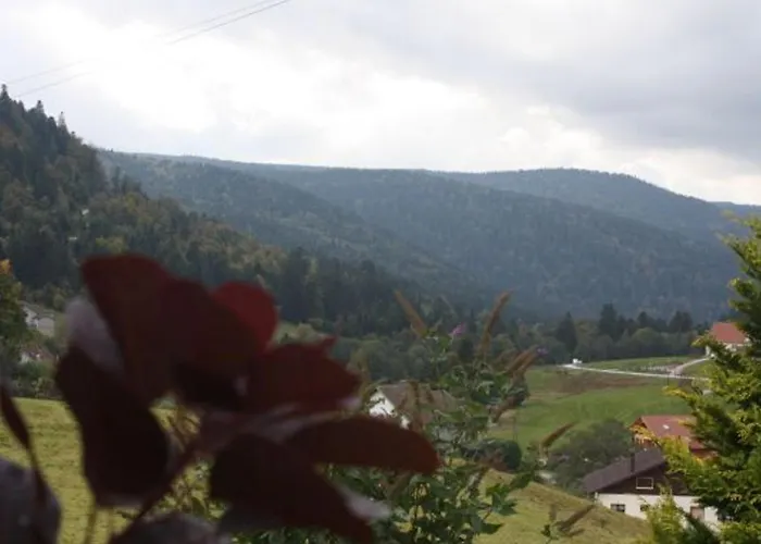 A - Proche Et Pistes, Chem Cheminee, 2 - Fr-1-589-108 * Gérardmer