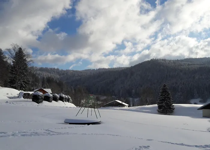 Prázdninový dům A - Proche Et Pistes, Chem Cheminee, 2 - Fr-1-589-108 Gérardmer