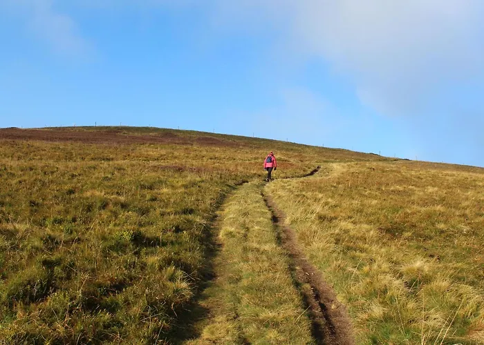 A - Proche Et Pistes, Chem Cheminee, 2 - Fr-1-589-108 Gérardmer