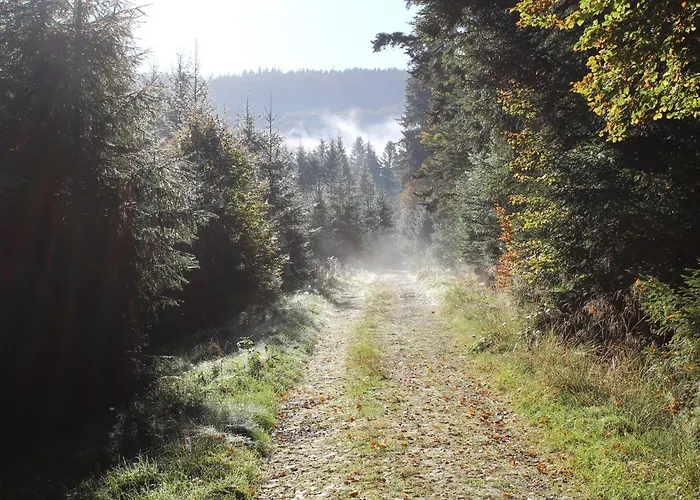 Prázdninový dům A - Proche Et Pistes, Chem Cheminee, 2 - Fr-1-589-108