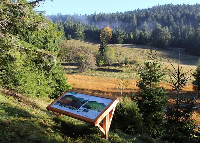 A - Proche Et Pistes, Chem Cheminee, 2 - Fr-1-589-108 * Gérardmer