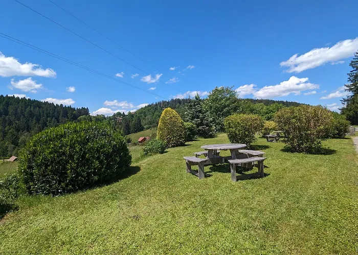 Prázdninový dům A - Proche Et Pistes, Chem Cheminee, 2 - Fr-1-589-108 *