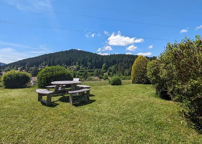 A - Proche Et Pistes, Chem Cheminee, 2 - Fr-1-589-108 * Gérardmer