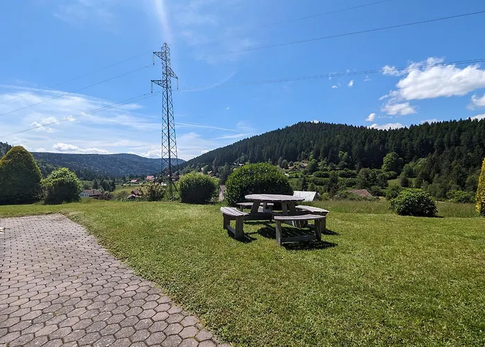 A - Proche Et Pistes, Chem Cheminee, 2 - Fr-1-589-108 Gérardmer